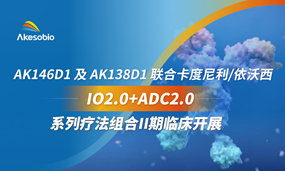 IO2.0+ADC2.0系列疗法组合II期临床召开！EbpayAK146D1及AK138D1联合卡度尼利/依沃西及自研高潜力药物治疗实体瘤